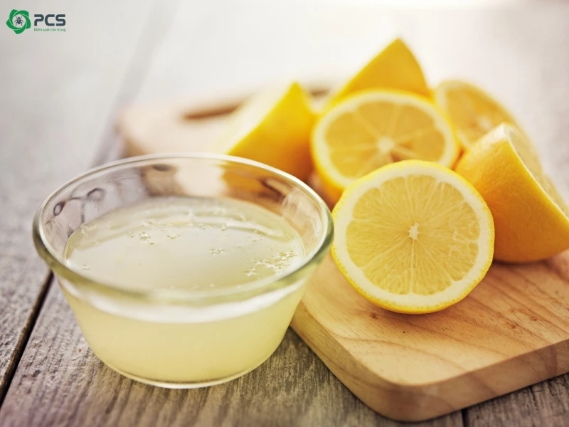 Cách đuổi gián trong phòng ngủ 
